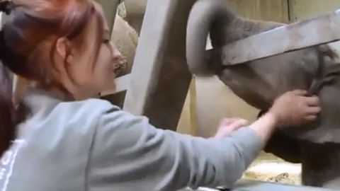 常见的搞笑GIF图 第六期 搞笑只是日常,听歌才是正事!
